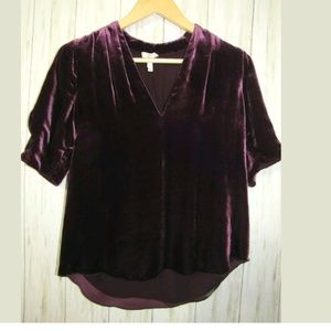 joie ance velvet top